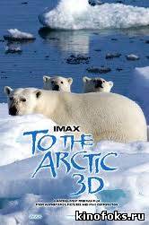 Арктика 3D смотреть онлайн бесплатно